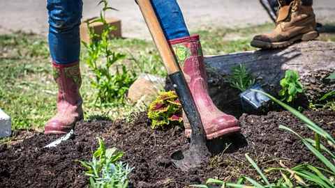 Getty Images woman in boots digging (Credit: Getty Images)