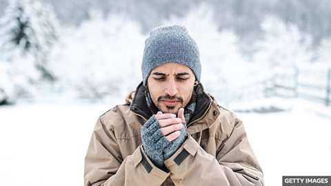 What does being cold do to your body?  寒冷天气对人体有什么影响？