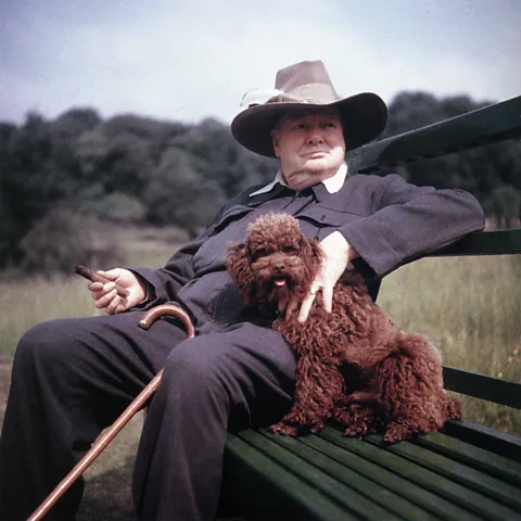 Alamy Winston Churchill's siren suit is a classic 'keep calm and carry on' garment (Credit: Alamy)