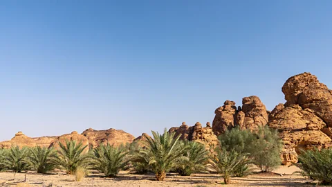 Yulia Denisyuk (Credit: Yulia Denisyuk)