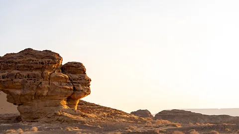 Yulia Denisyuk (Credit: Yulia Denisyuk)