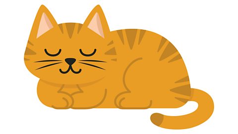 An illustration of a ginger cat curled up asleep.