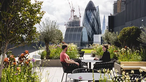 Billy Bolton Rooftop terrace at 280 Bishopsgate for Arax Properties in London (Credit: Billy Bolton)