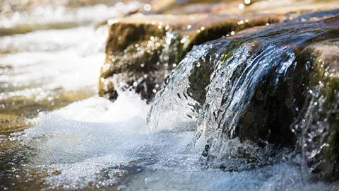 Getty Images Bacteria naturally produce methane in the sediments of many wet areas, but as long as it stays dissolved in the water it doesn't act as a greenhouse gas (Credit: Getty Images)