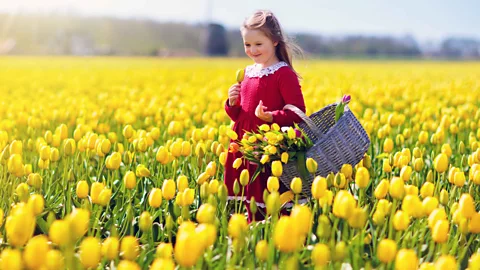 famveld / Alamy Stock Photo The Bloemencorso parade of exquisitely decorated flower floats marches through the Bollenstreek, creating a vibrant Springtime atmosphere (Credit: famveld / Alamy Stock Photo))