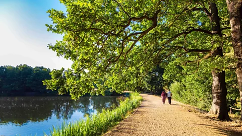 Exploring London Sustainably: A Guide to Eco-Friendly Tourism - Green Spaces and Parks