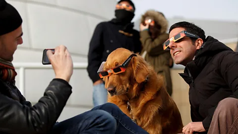 Getty Images Researchers want to know how many different kinds of animals – including pets – behave during the April eclipse (Credit: Getty Images)
