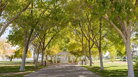 Chon Kit Leong/Alamy Floyd Lamb Park is a nature preserve located 20 miles north of Las Vegas (Credit: Chon Kit Leong/Alamy)