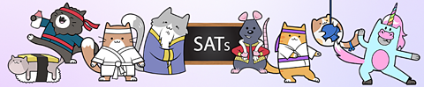Get ready for the KS1 SATs or recap maths and English