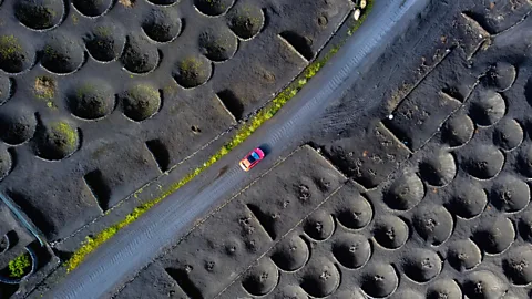 Turismo de Islas Canarias The aerial view of each crater reveals a vine at its heart (Credit: Turismo de Islas Canarias)