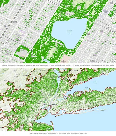 Getty Images Only 17% of New York City's 7 million trees are in areas populated largely by people of colour (Credit: Getty Images)