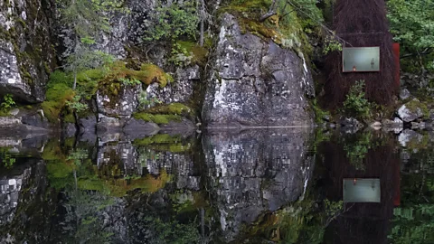 Mariana de Delás/ Gartnerfuglen Arkitekter Made from a timber skeleton clad with birch twigs that provide insulation beneath snow, Gjemmested Telemark is buried in a slope in Norway (Credit: Gartnerfuglen Arkitekter)
