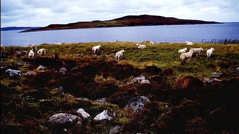 Getty Images Gruinard is an island off the coast of Scotland with a dark and chilling history (Credit: Getty Images)