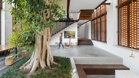 Delfino Sisto Legnani & Alessandro Saletta/ CRA An ancient 10m-high ficus tree is at the core of a farmhouse conversion in Parma, Italy, which has a roof that can be opened to encourage the tree to thrive (Credit: CRA)
