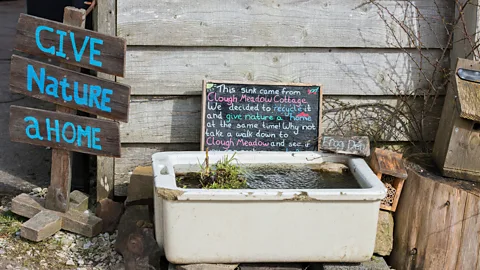 Heather Stuckey A mini pond made from an old sink (Credit: Heather Stuckey)