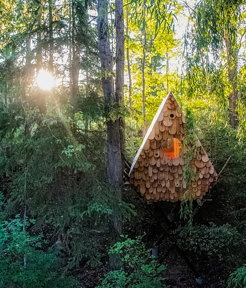 Studio North The Bird Hut in British Columbia is suspended 3m high by pines salvaged from a forest fire, its façade covered by bird boxes suitable for different species (Credit: Studio North)