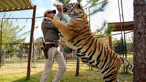 Netflix Released in 2020, Netflix's documentary series Tiger King was an early lockdown hit (Credit: Netflix)