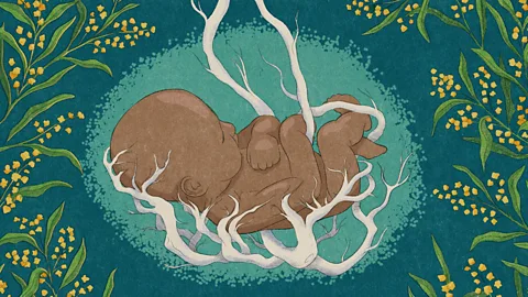 Emmanuel Lafont/BBC Illustration of a baby surrounded by tree roots (Credit: Emmanuel Lafont/BBC)