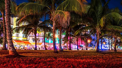 Alamy From throbbing clubs to swanky cocktail bars, Miami's nightlife can't be beat – at any time of year (Credit: Alamy)