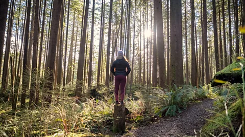 Getty Images The Japanese practice of shinrin-yoku, or forest bathing, is the simple and therapeutic act of spending time in a forest (Credit: Getty Images)