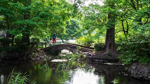 Alamy Inokashira Park's idyllic paths and tree-lined backdrops make it a magnet for buskers, and a great place to catch Japan's next star (Credit: Alamy)