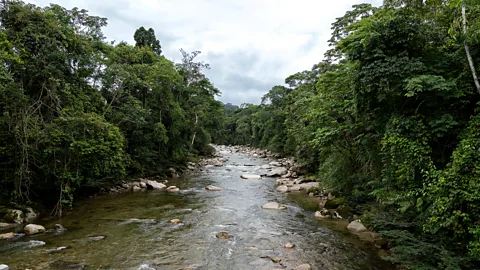 Ana Maria Buitron The Iluculín River, a clean river that joins with the Jatunyacu River (Credit: Ana Maria Buitron)