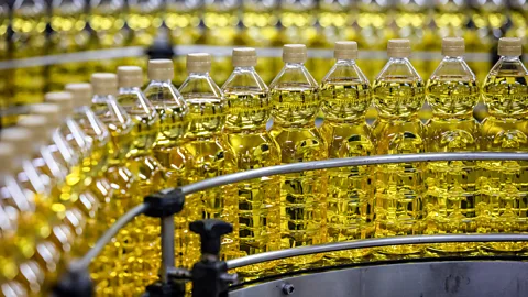 Getty Image Bottles of olive oil on a production line (Credit: Getty Images)