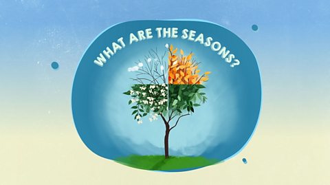 What are the seasons?