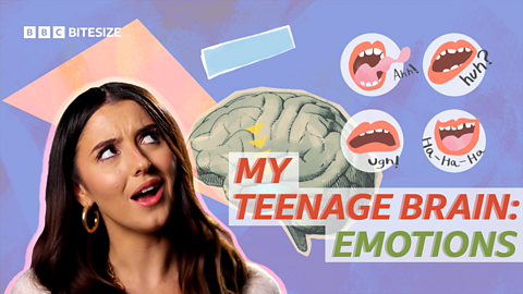 My Teenage Brain: Why am I so emotional?