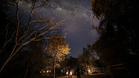 Alejandro Sommer Cielo Guaraní events often take place at Salto Encantado Provincial Park under the dark skies of Misiones (Credit: Alejandro Sommer)