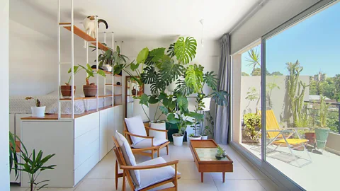 Enrico Cavaglià/ Never Too Small In a flat in Buenos Aires, an abundance of plants makes for a welcoming mood  (Credit: Enrico Cavaglià/ Never Too Small)