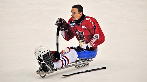 Ice hockey player on the ice rink on a para sledge