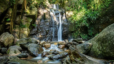 Alamy More than 30 waterfalls cascade through the Tijuca forest (Credit: Alamy)