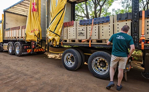 The Aspinall Foundation Vultures packed and ready to go on their epic 1050-km (650-mile) road trip (Credit: The Aspinall Foundation)