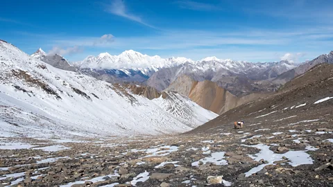 Eileen McDougall Numa La is a high-altitude pass along the trail (Credit: Eileen McDougall)