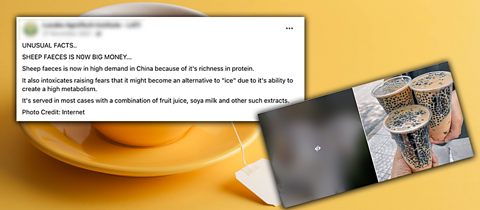 Cup of tea in a yellow cup and saucer on a yellow background with a Facebook post listing some supposed facts about buble tea. There is also a small image of some bubble tea and a blurred out picture of a goat.