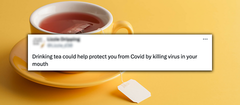 Cup of tea in a yellow cup and saucer on a yellow background with a tweet that says 'Drinking tea could help protect you from Covid by killing virus in your mouth'.