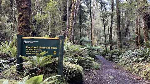 Jessica Wynne Lockhart Fiordland National Park is located in the southwest of New Zealand’s South Island (Credit: Jessica Wynne Lockhart)