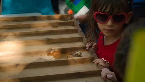 Eloi Teixidó Fontova Activities at the festival include a children's snail race and an aioli-making contest (Credit: Eloi Teixidó Fontova)