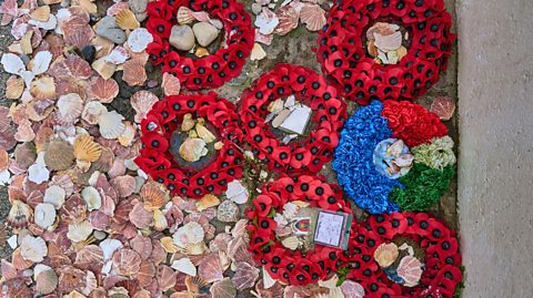 A cluster of six poppy wreaths commemorating D-Day on a bed of shells.