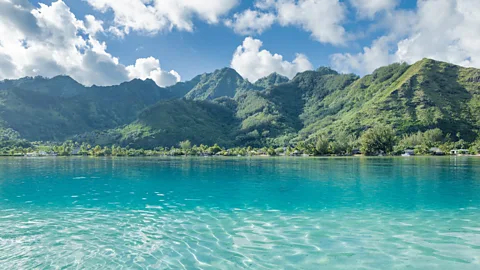 Tahiti Tourisme Moorea is a prime destination for swimming with whales (Credit: Tahiti Tourisme)