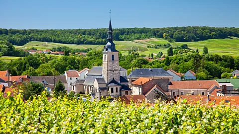 Alamy Weinführers in each French winemaking region took the best wines and send them back to Germany (Credit: Alamy)