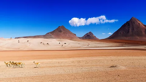 Alamy The route threads the surreal Salvador Dalí Desert (Credit: Alamy)