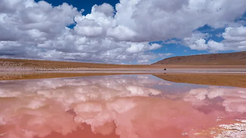 Michnus Olivier The area's salt flats are so vast they're visible from space (Credit: Michnus Olivier)