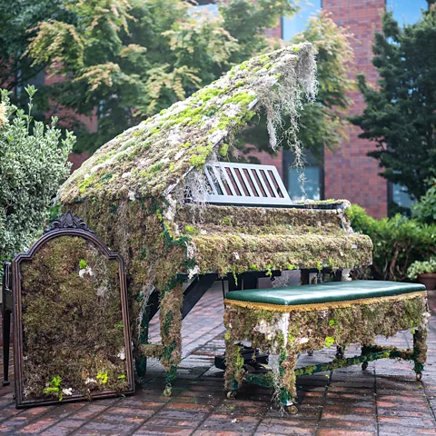 Visit Liverpool A playable, moss-covered piano has been set up in the garden of The Bluecoat, a local contemporary arts centre (Credit: Visit Liverpool)