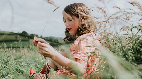 Young girl sits attentively in a field as she looks at buttercups