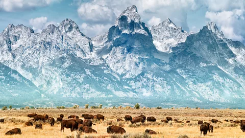 Getty Images The US National Park System covers nearly as much land as the United Kingdom (Credit: Getty Images)