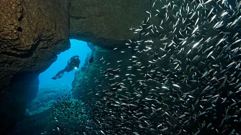 Alamy "Humans have always been exploring. That's how we learned how the world works." (Credit: Alamy)