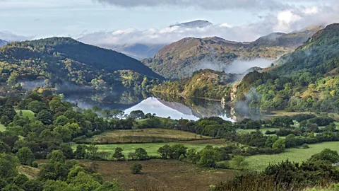 Alan Williams/Nature Picture Library Gwynant Valley in Snowdonia (Credit: Alan Williams/Nature Picture Library)