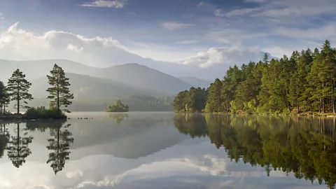 Scotland The Big Picture/Nature Picture Library The Cairngorms is the largest – and wildest – national park in the UK (Credit: Scotland The Big Picture/Nature Picture Library)